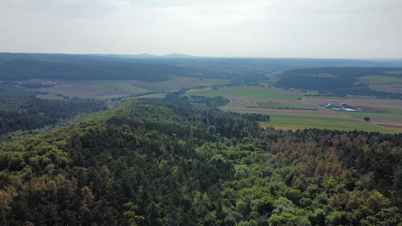 Drohnenaufnahme über einer Waldlandschaft mit angrenzender Feldflur